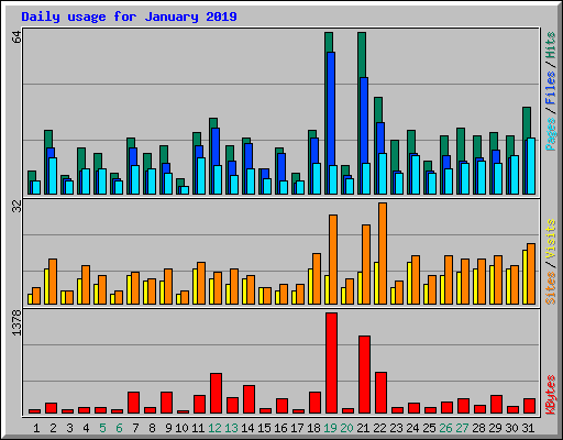 Daily usage for January 2019