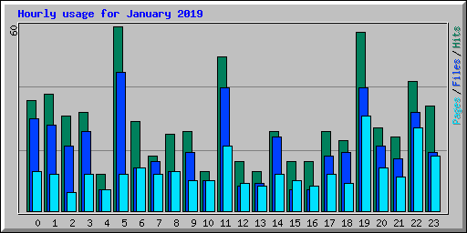 Hourly usage for January 2019