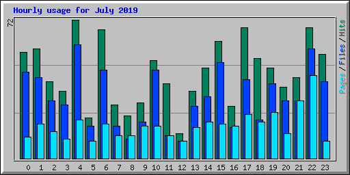 Hourly usage for July 2019